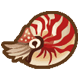 鸚鵡螺|集合啦！動物森友會|海洋生物