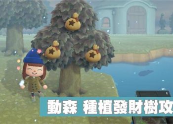 動森發財樹懶人包