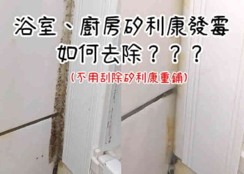 清除發霉矽利康
