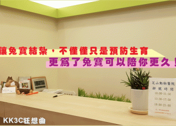 兔子結紮經驗分享：