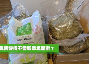[心得]兔子不吃草怎麼辦?