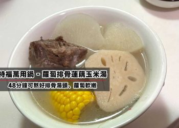 特福萬用鍋煮蘿蔔排骨湯