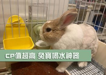 [開箱]兔用飲水器：自動喝水神器、自動補水神器