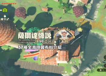 薩爾達傳說王國之淚37種滑翔傘布料