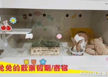 [體驗] 兔寶寄宿初體驗【愛兔假期寵物兔寄宿篇】-01