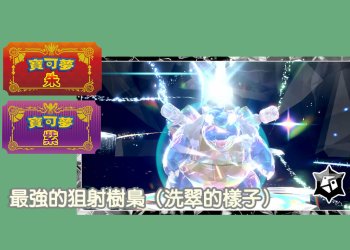 寶可夢朱/紫 黑色結晶的太晶團體戰 最強的水箭龜 能力值？